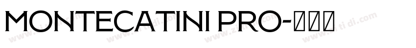 Montecatini Pro字体转换